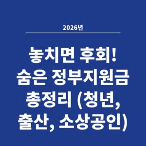 2026년 놓치면 후회! 숨은 정부지원금 총정리 (청년, 출산, 소상공인)