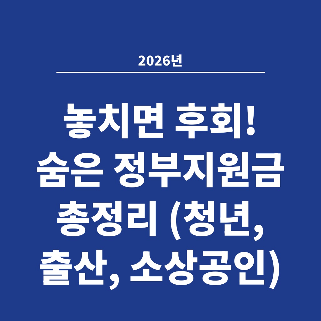 2026년 놓치면 후회! 숨은 정부지원금 총정리 (청년, 출산, 소상공인)